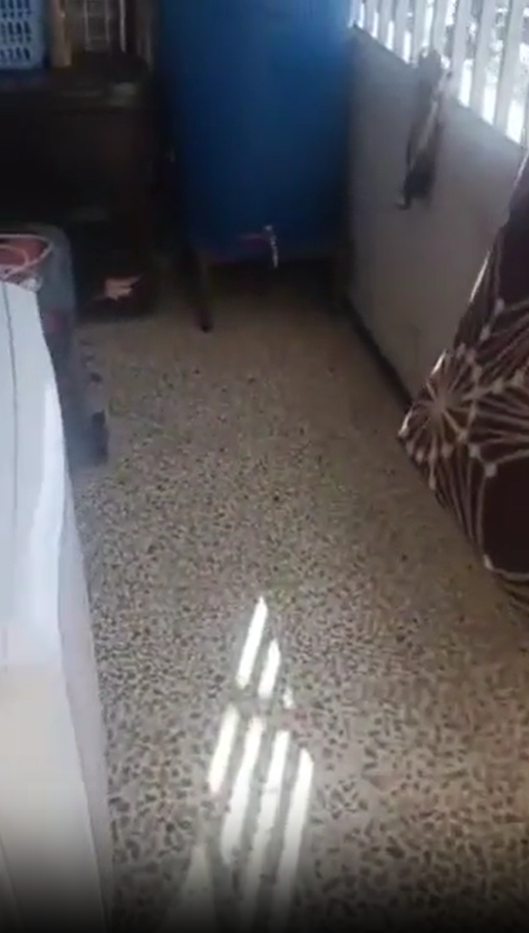 Näyttökuva 2025-11-23 203928